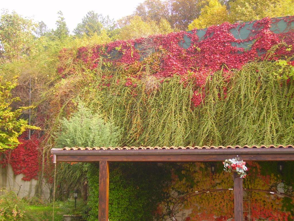 B&B Margherita Le Fiabe Sant'Agata Feltria Ngoại thất bức ảnh